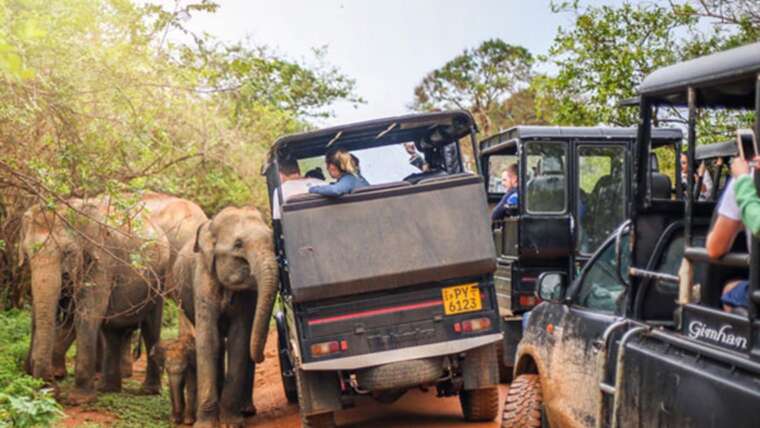 Yala National Park