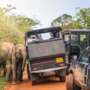 Yala National Park